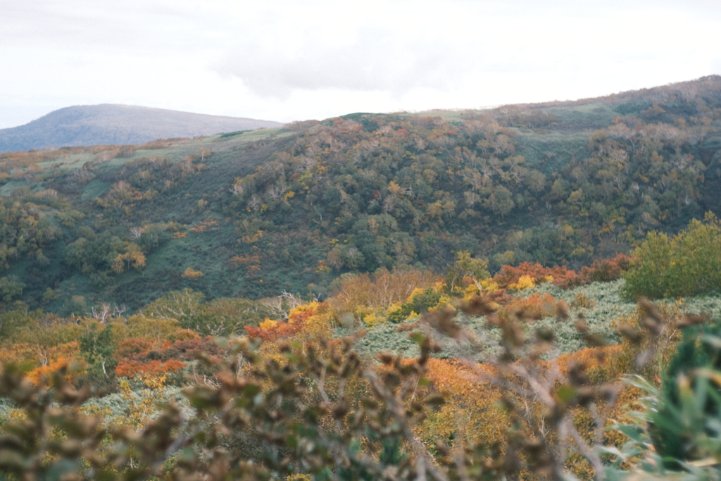 R5.10.08_夫婦登山_暑寒別岳⑨