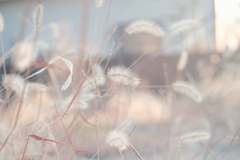 R4.01.02_実家の近く