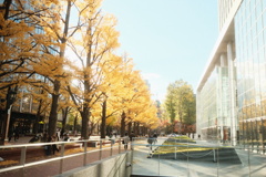 R3.11.06_北海道旧庁舎前②