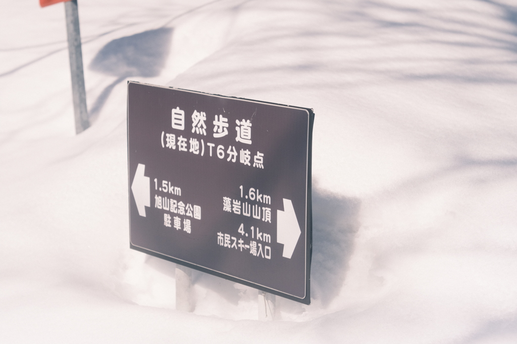 R5.03.05_夫婦登山_藻岩山③