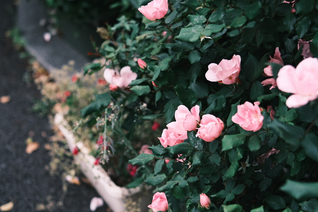 R5.04.25_東京出張2日目②