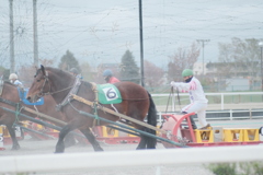 R4.05.01_帯広ばんえい競馬⑥