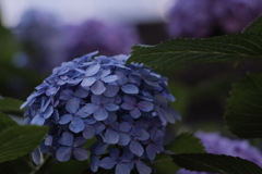 R4.06.16_出張4日目②