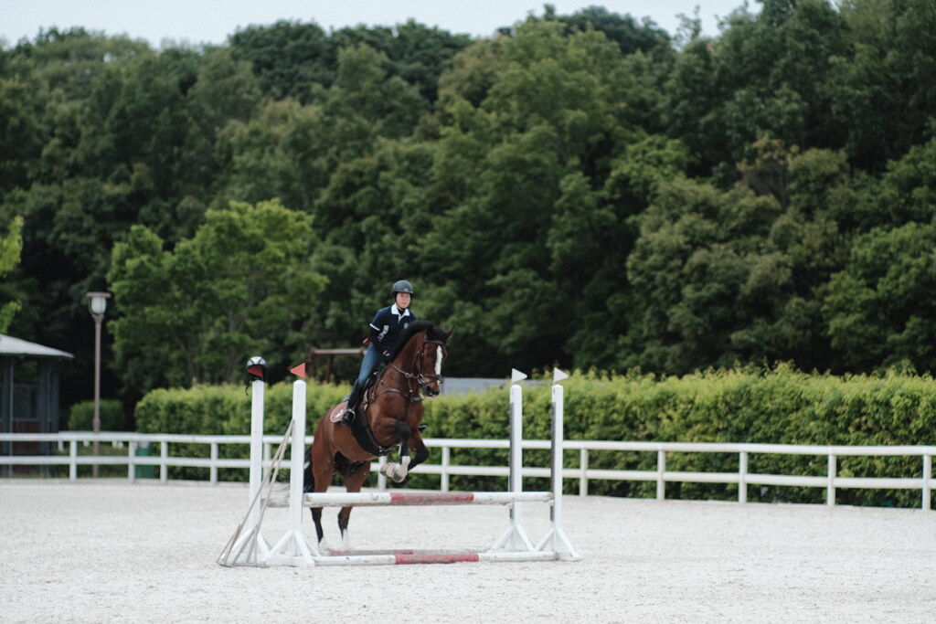 R4.06.05_三木ホースランドパーク②