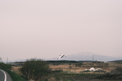 R5.05.04_夫婦旅行_網走知床㉒