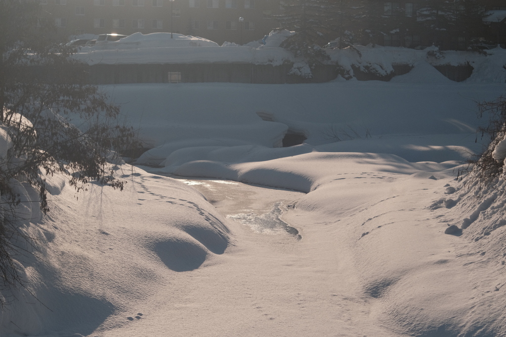 R4.02.13_夕方の散歩