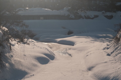 R4.02.13_夕方の散歩