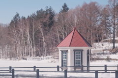 R4.03.27_西岡公園②