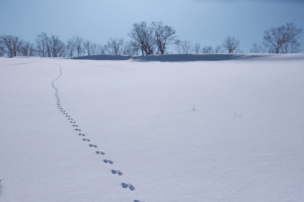 R4.03.13_夫婦登山_札幌岳⑤