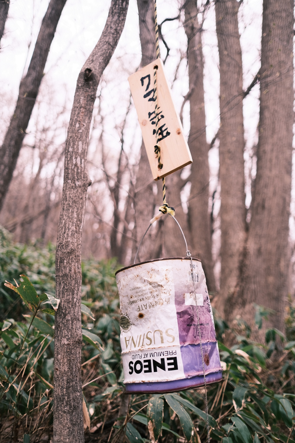 R6.04.21_夫婦登山_八剣山①