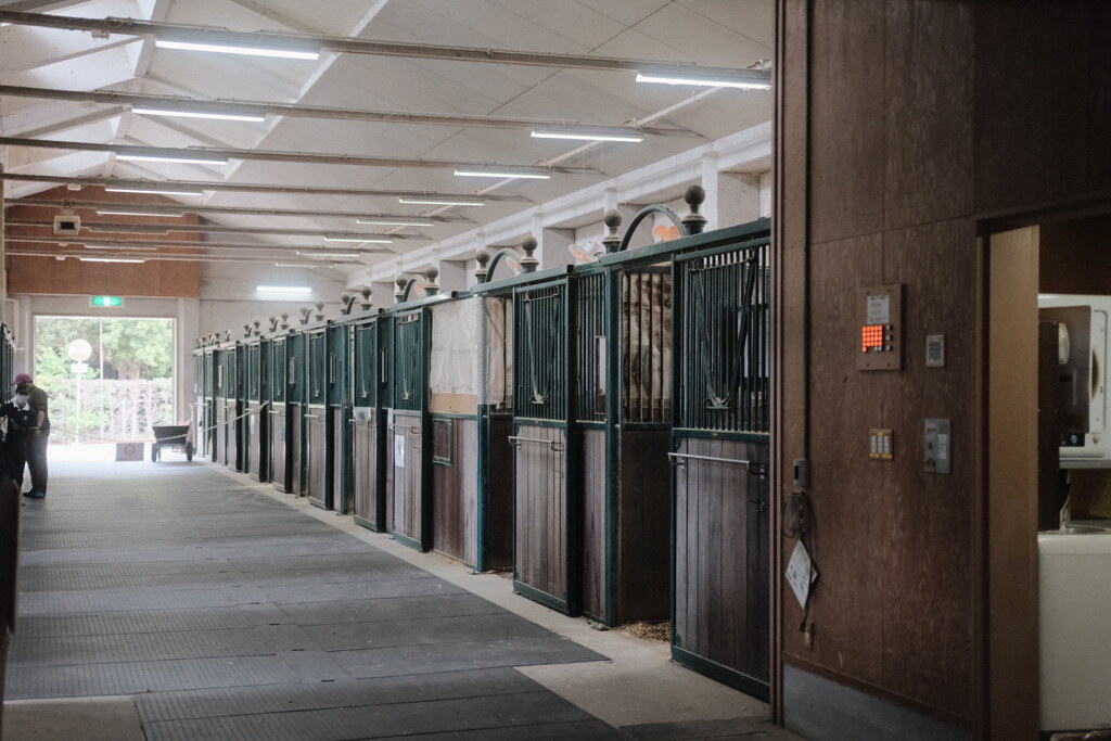 R4.06.05_三木ホースランドパーク③