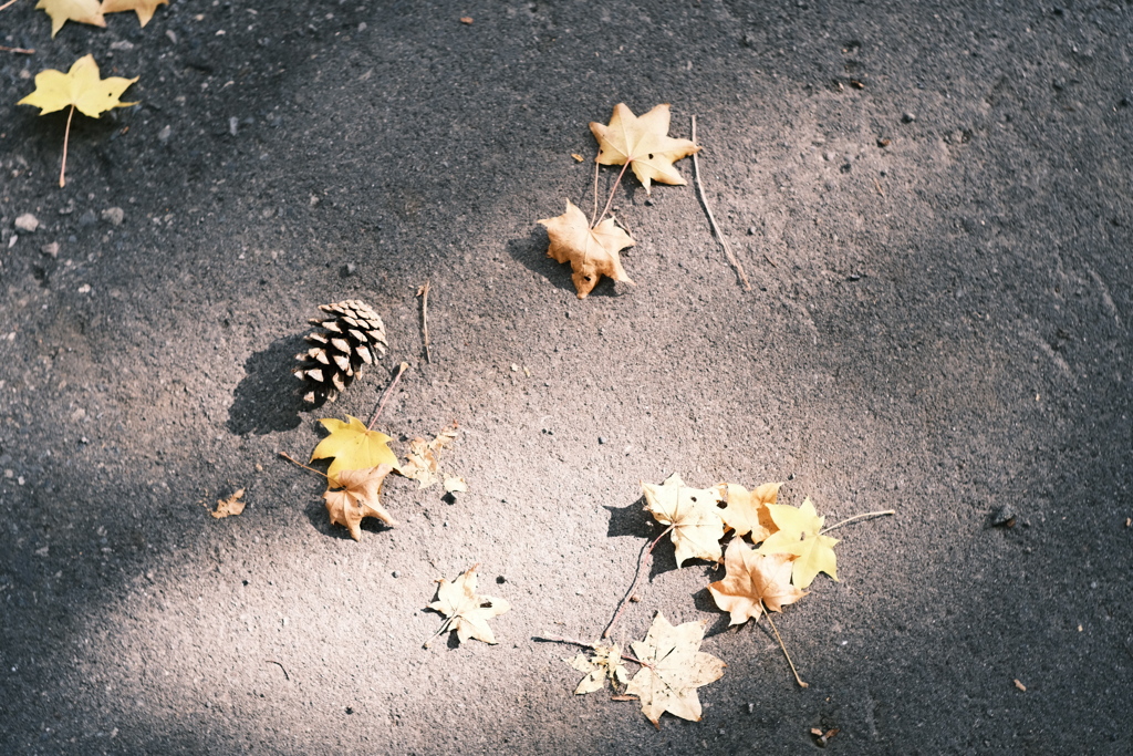 R5.10.29_北海道大学③