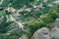 R5.06.18_夫婦登山_八剣山③