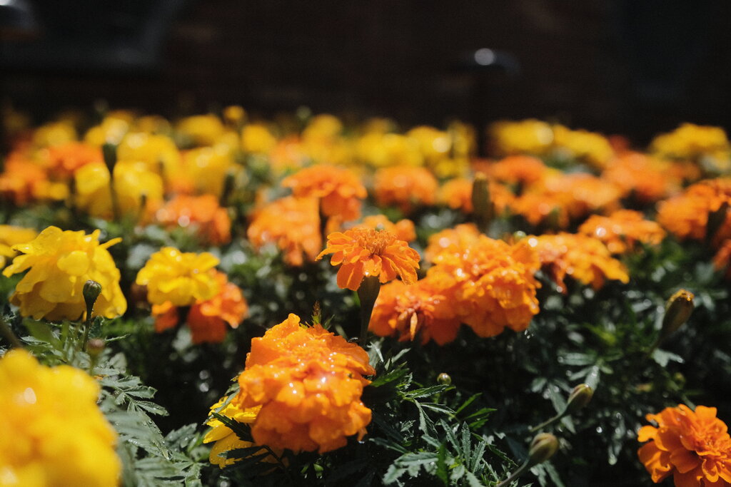 R4.06.03_神戸市内⑦