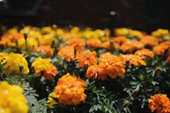 R4.06.03_神戸市内⑦