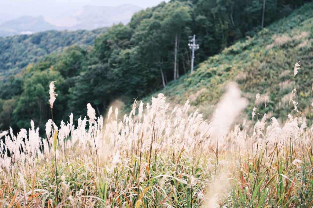 R5.09.30_夫婦登山_藻岩山⑤