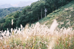 R5.09.30_夫婦登山_藻岩山⑤