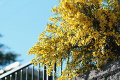 R4.06.12_夫と散歩④