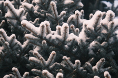 R5.02.25_夕方散歩①