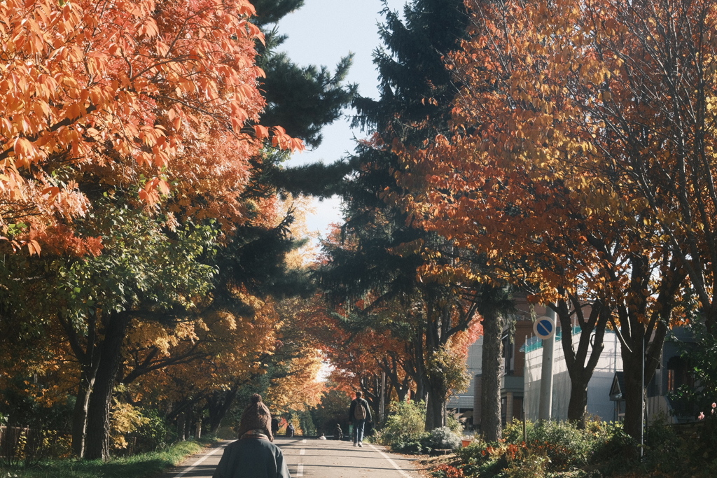 R7.11.03_紅葉散歩④