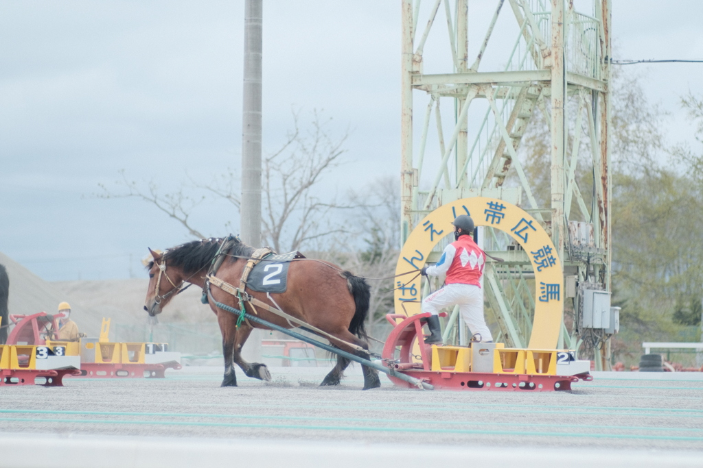 R4.05.01_帯広ばんえい競馬⑧