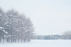 R4.01.29_モエレ沼公園