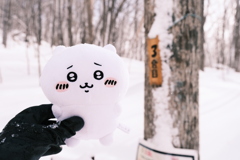 R6.02.10_夫婦登山_八剣山③