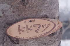 R4.03.27_西岡公園④