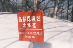 R5.03.05_夫婦登山_藻岩山②