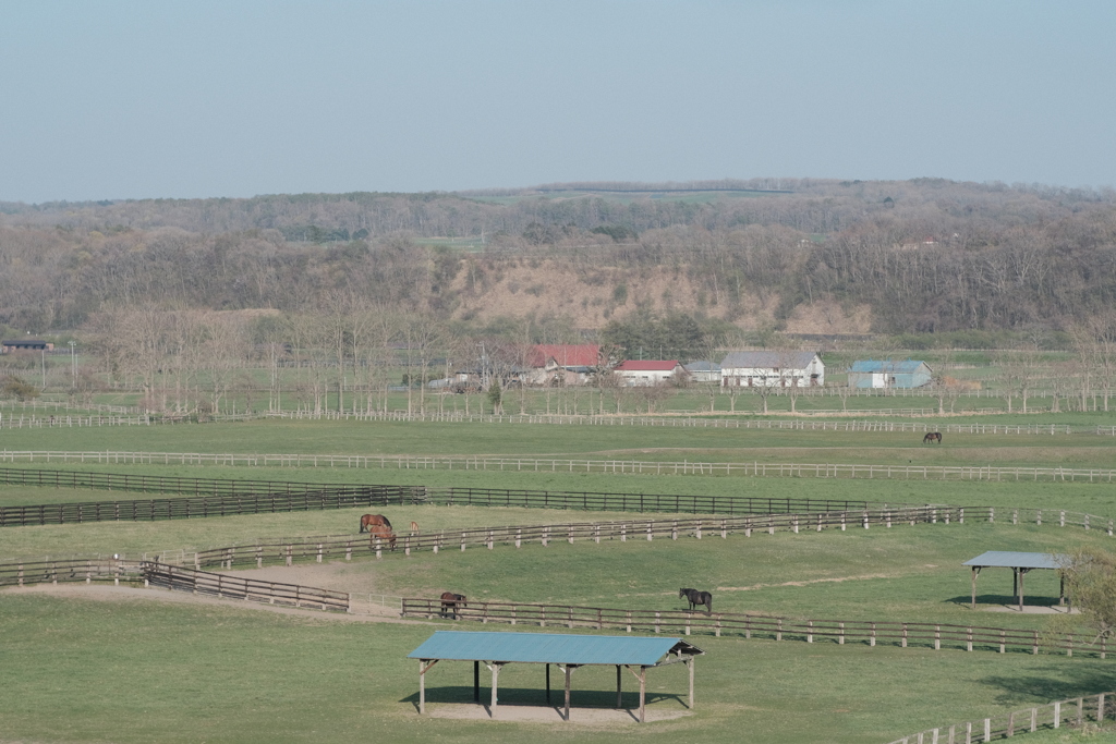 R4.05.06_サラブレッドの町②