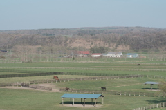 R4.05.06_サラブレッドの町②