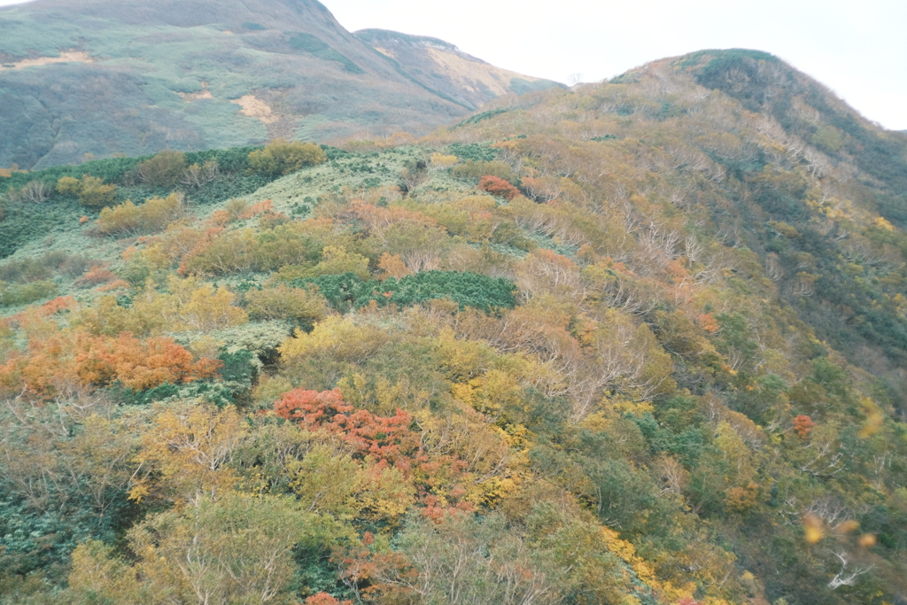 R5.10.08_夫婦登山_暑寒別岳⑪