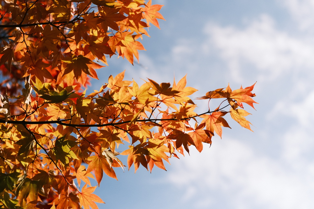 R5.10.29_北海道大学①