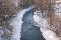 R5.02.22_夕方散歩③