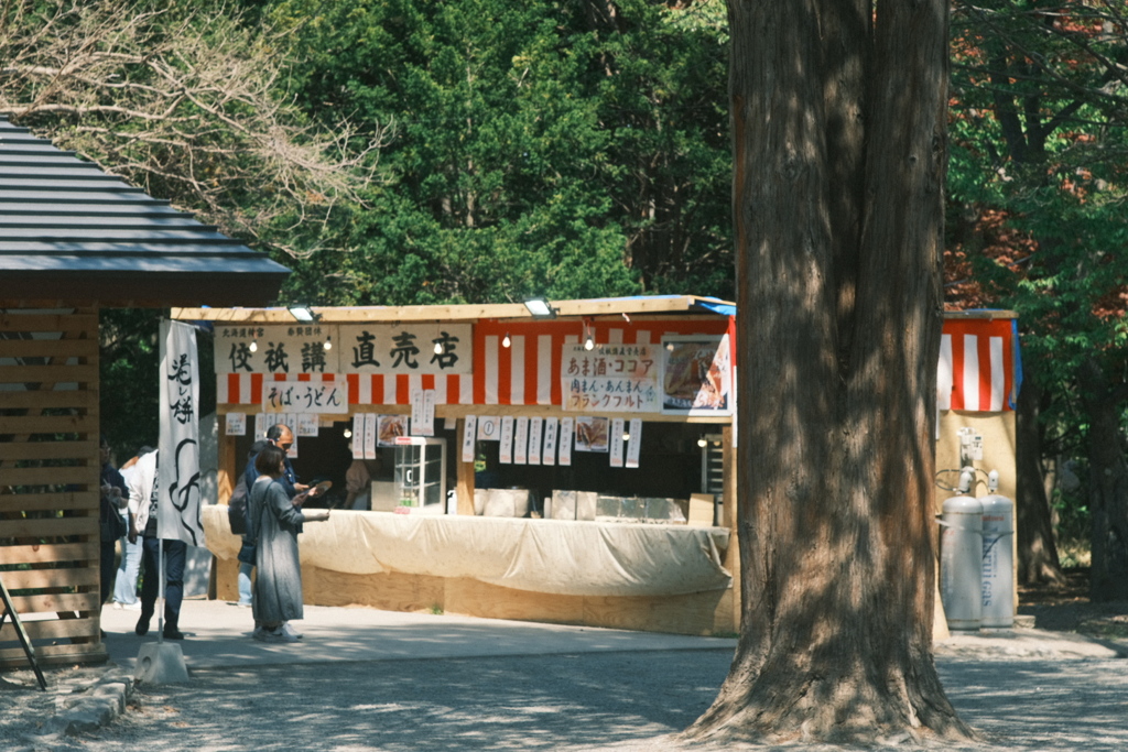 R5.05.13_北海道神宮①