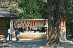 R5.05.13_北海道神宮①