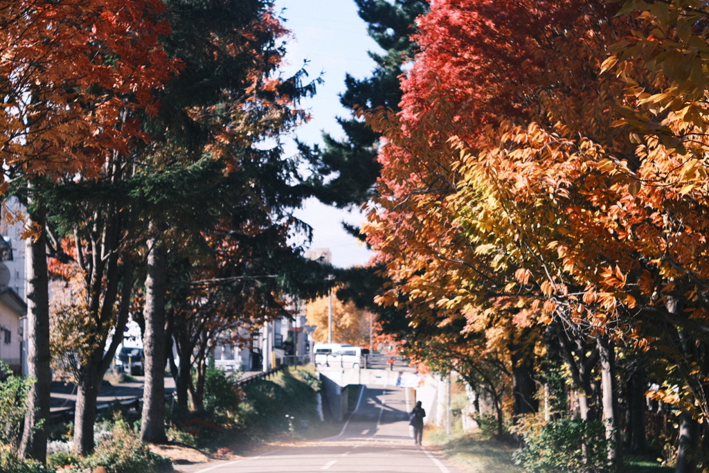 R7.11.03_紅葉散歩⑦