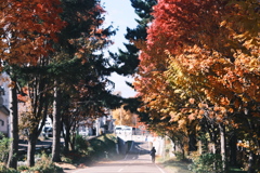 R7.11.03_紅葉散歩⑦