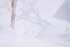 R4.03.13_夫婦登山_札幌岳③