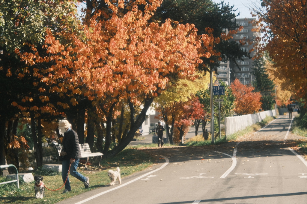 R7.11.03_紅葉散歩③