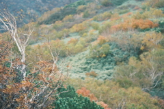 R5.10.08_夫婦登山_暑寒別岳⑫