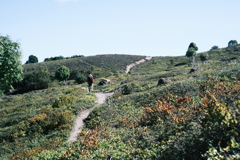 R5.09.24_夫婦登山_樽前山⑫