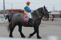 R4.05.01_帯広ばんえい競馬①