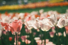 D4D34B43-44CB-4536-A423-D2486865F0C1-470