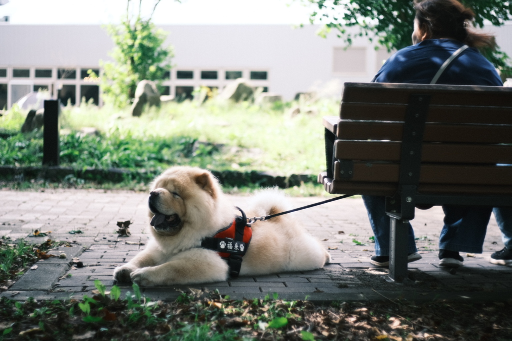 R5.09.17_千歳サーモンパーク③