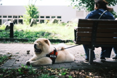 R5.09.17_千歳サーモンパーク③