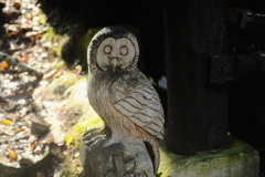 R3.10.30_札幌岳途中の小屋前にて