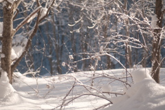 R5.01.08_百松沢山③