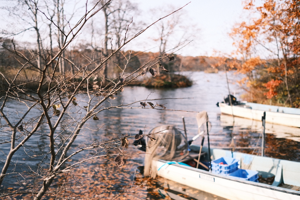 R7.11.08_夫婦温泉旅行in函館⑥