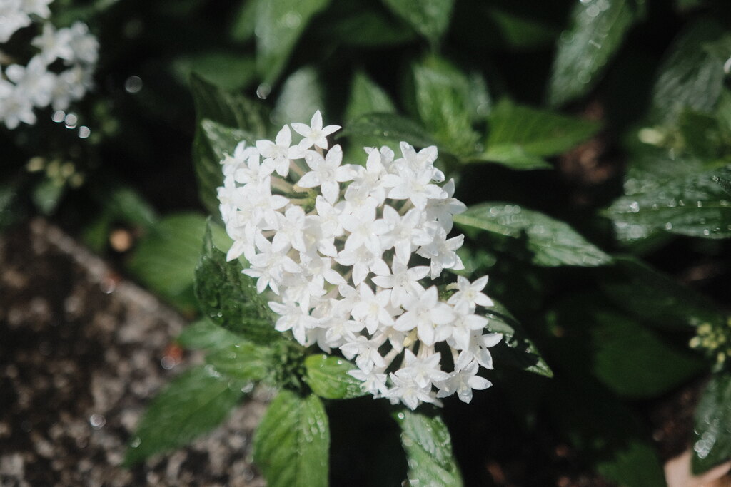 R4.06.03_神戸市内⑤